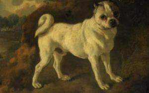 Thomas Gainsborough R.A., A Pug, oil on canvas
